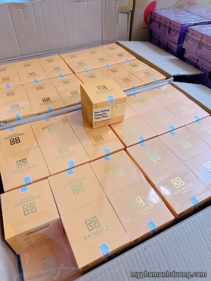 Hatagold B5 - Kem body