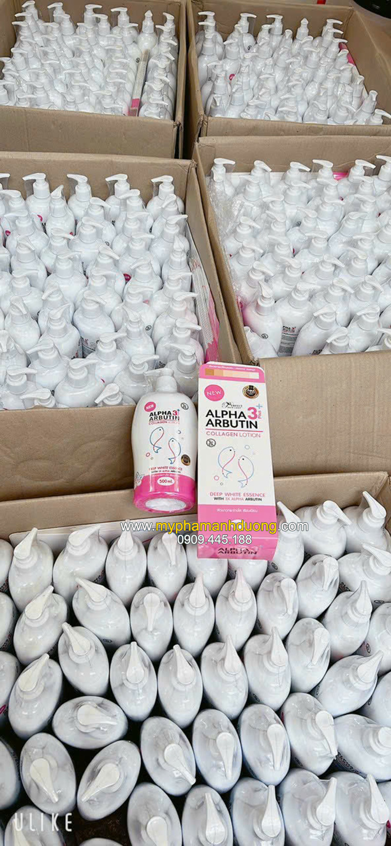 Kem Alpha Arbutin Collagen Lotion